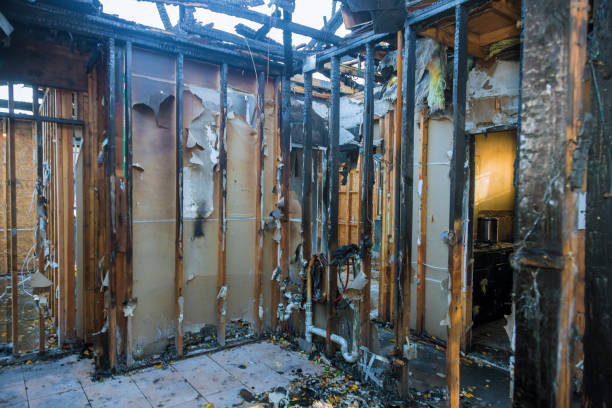 Professional Odor Removal technician working in Algonquin, IL